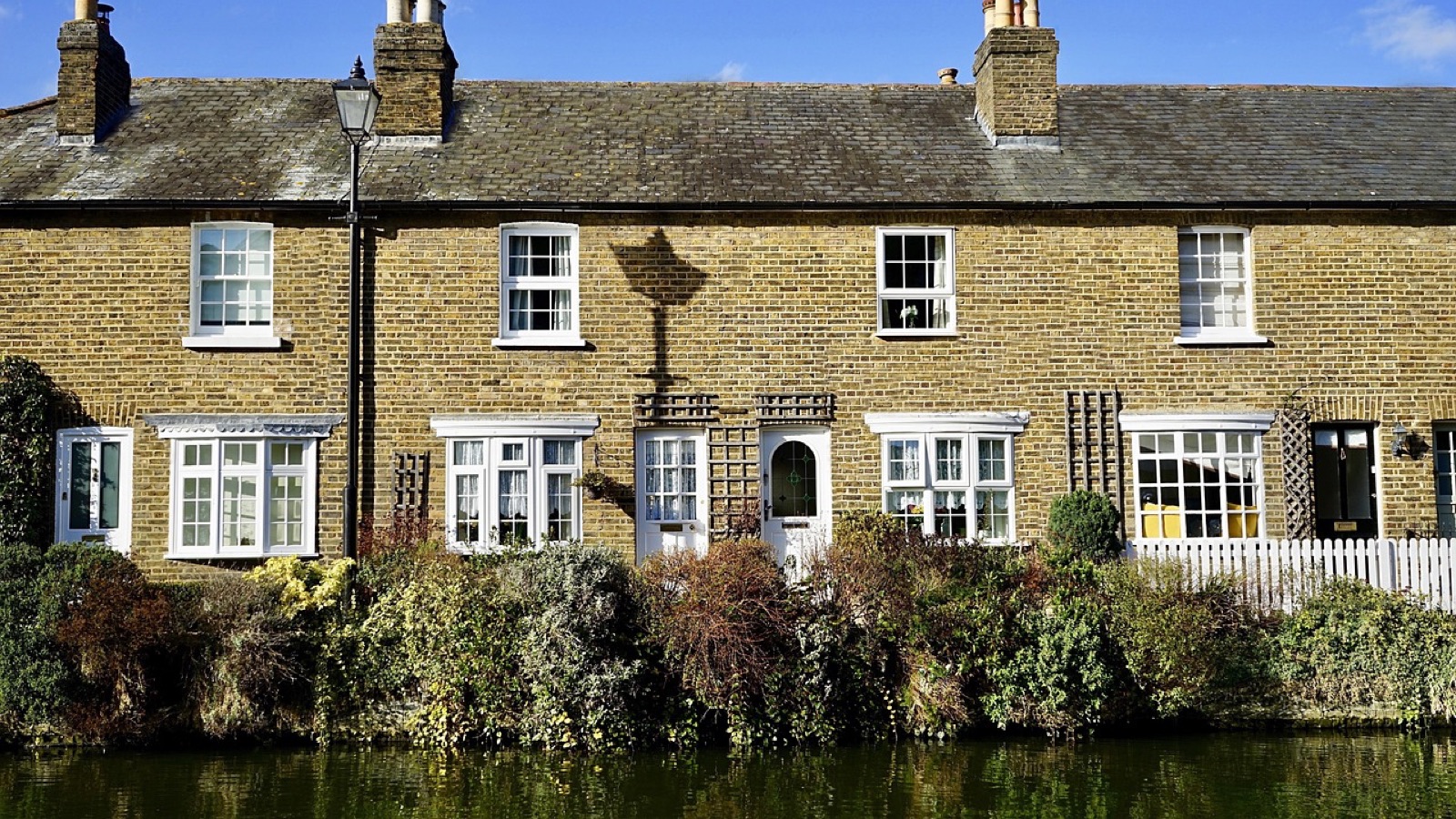 A row of yellow-brick terraced cottages with white windows behind a hedge